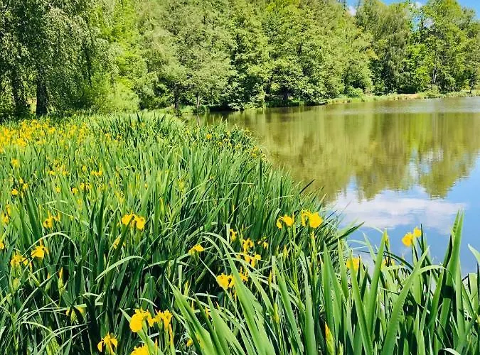Penzion, Restaurace Jaro Brdy Pensión Vesin
